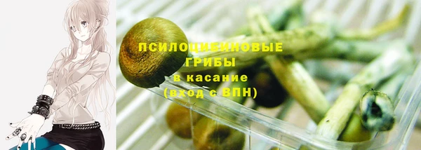 прущие крисы Мегион