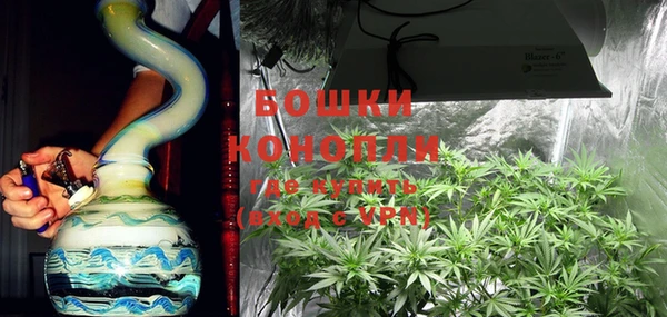 прущие крисы Мегион