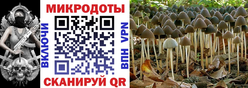 Купить закладки  Нестеровская  Псилоцибиновые грибы Psilocybine cubensis 