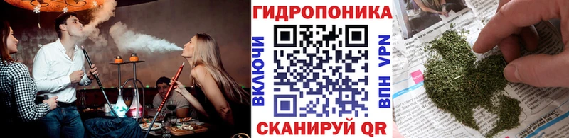 Канабис White Widow Нестеровская