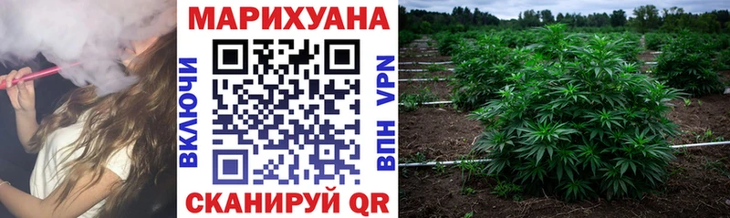 Бошки Шишки THC 21%  Купить где  Нестеровская 